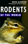 Rodents of the World