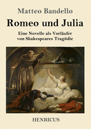 Romeo und Julia: Eine Novelle als Vorl?ufer von Shakespeares Tragdie