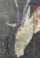 Ropes to God: Experiencing the Bushman Spiritual Universe