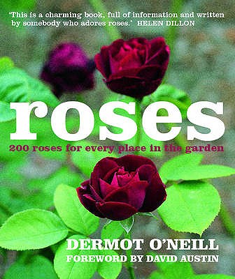 Roses - O'Neill, Dermot