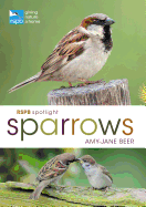 RSPB Spotlight Sparrows