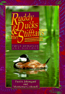 Ruddy Ducks and Other Stifftails: Their Behavior and Biology - Johnsgard, Paul A, and Carbonell, Montserrat