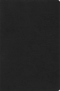 RVR 1960 Biblia de Estudio Arco Iris, negro imitacin piel c