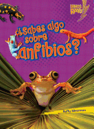 Sabes Algo Sobre Anfibios?