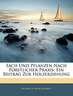 Sach Und Pflanzen Nach Forstlicher Praxis: Ein Beitrag Zur Holzerziehung