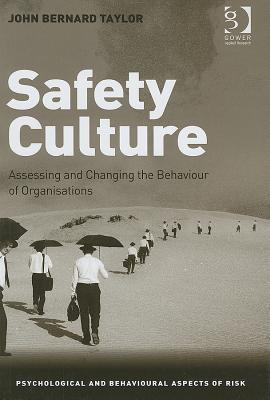 Safety Culture: Assessing and Changing the Behaviour of Organisations - Taylor, John Bernard