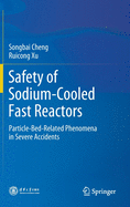 Safety of Sodium-Cooled Fast Reactors: Particle-Bed-Related Phenomena in Severe Accidents