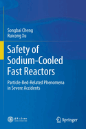 Safety of Sodium-Cooled Fast Reactors: Particle-Bed-Related Phenomena in Severe Accidents