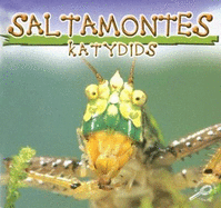 Saltamontes (Katydids)