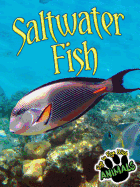 Saltwater Fish