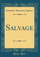 Salvage (Classic Reprint)