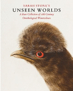 Sarah Stone's Unseen Worlds: A Rare Collection of 18th Century Ornithological Watercolours