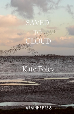 Saved to Cloud - Foley, Kate