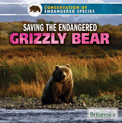 Saving the Endangered Grizzly Bear - Ciovacco, Justine