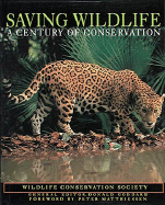 Saving Wildlife: A Century of Conservation
