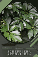 Schefflera arboricola: Plant Guide