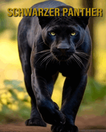 Schwarzer Panther: Interessante Fakten und Bilder ber Schwarzer Panther