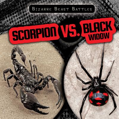 Scorpion vs. Black Widow - McAneney, Caitie