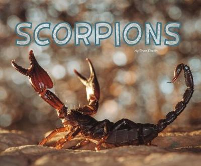 Scorpions - Davin, Rose