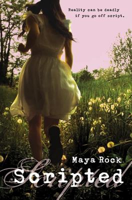 Scripted - Rock, Maya