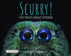 Scurry: The Truth about Spiders: The Truth about Spiders