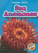 Sea Anemones