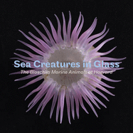 Sea Creatures in Glass: The Blaschka Marine Animals at Harvard