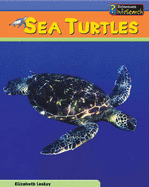 Sea Creatures: Sea Turtles Cased - Laskey, Elizabeth