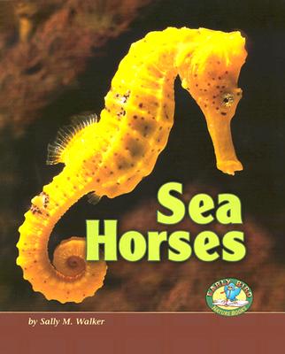 Sea Horses - Walker, Sally M