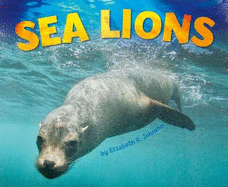 Sea Lions