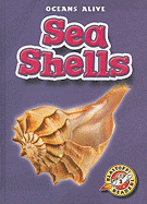 Sea Shells