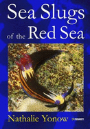 Sea Slugs of the Red Sea - Yonow, N.