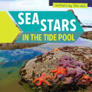 Sea Stars in the Tide Pool