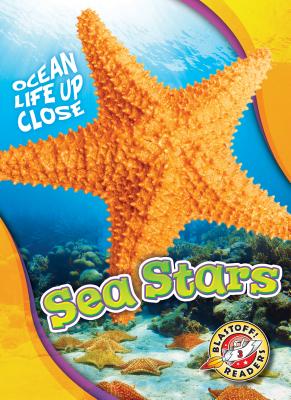 Sea Stars - Pettiford, Rebecca