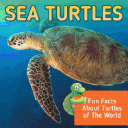 Sea Turtles: Fun Facts about Turtles of the World