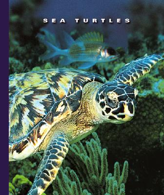 Sea Turtles - Lockwood, Sophie