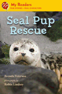 Seal Pup Rescue