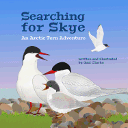 Searching for Skye: An Arctic Tern Adventure