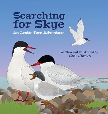 Searching for Skye: An Arctic Tern Adventure - Clarke, Gail