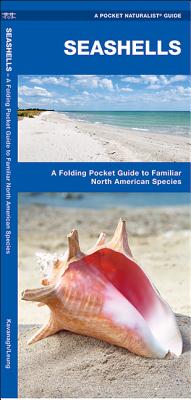 Seashells: A Folding Pocket Guide to Familiar North American Species - Kavanagh, James