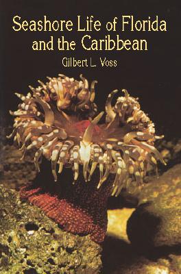 Seashore Life of Florida and the Caribbean - Voss, Gilbert L