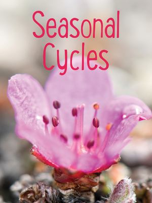 Seasonal Cycles: English Edition - Mike, Nadia