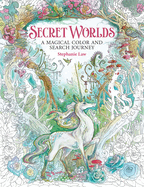 Secret Worlds: A Magical Color and Search Journey