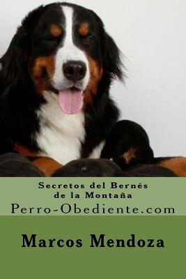 Secretos del Bernes de La Montana: Perro-Obediente.com - Mendoza, Marcos