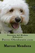 Secretos del Bichon Habanero: Perro-Obediente.com
