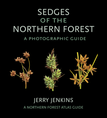 Sedges of the Northern Forest: A Photographic Guide - Jenkins, Jerry