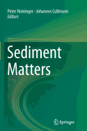 Sediment Matters