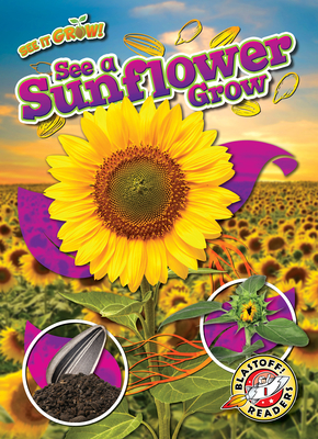 See a Sunflower Grow - Chang, Kirsten