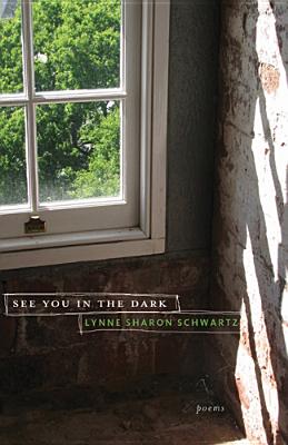 See You in the Dark - Schwartz, Lynne Sharon