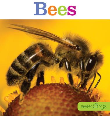 Seedlings: Bees - Frisch, Aaron